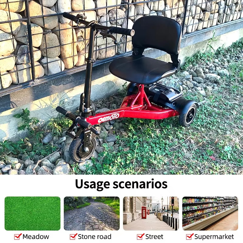 Three-Wheeled Electric Vehicle for the Elderly and Disabled 200W Motor 36V5.2AH Multifunctional Foldable Adult Mobility Vehicle